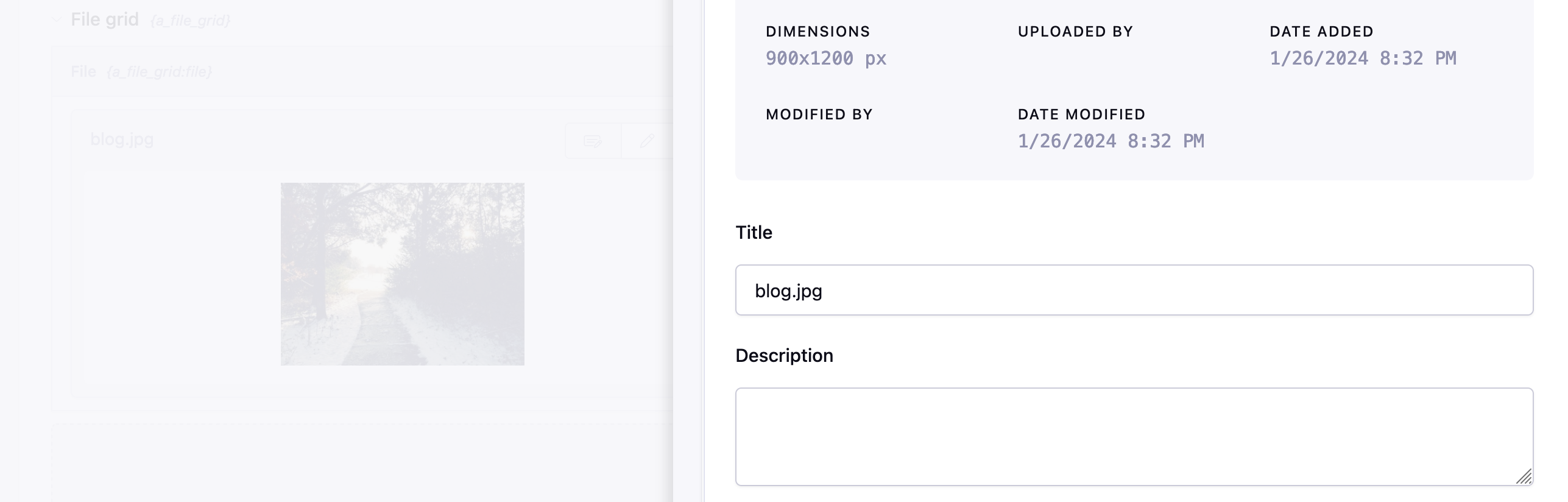 File Metadata Modal